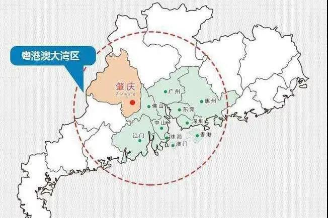 药品大湾区分中心